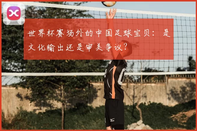 世界杯赛场外的中国足球宝贝:是文化输出还是审美争议?