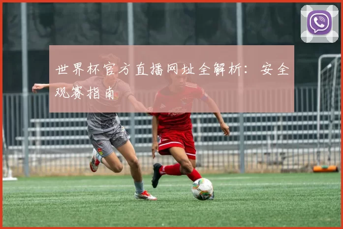 世界杯官方直播网址全解析:安全观赛指南