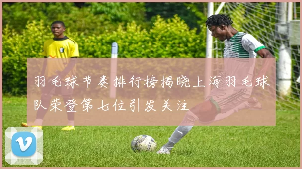 羽毛球节奏排行榜揭晓上海羽毛球队荣登第七位引发关注