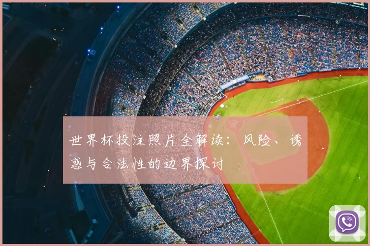 世界杯投注照片全解读:风险、诱惑与合法性的边界探讨