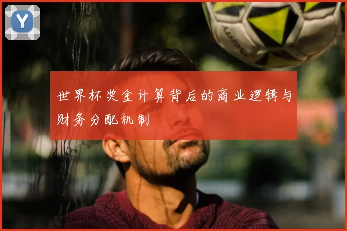 世界杯奖金计算背后的商业逻辑与财务分配机制