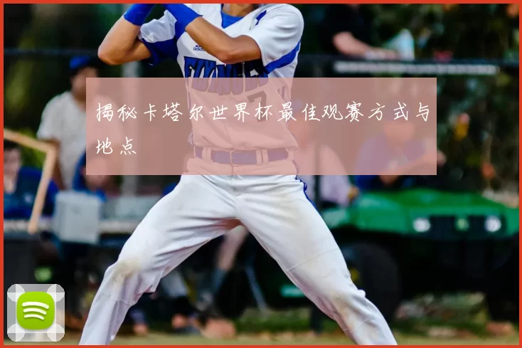 揭秘卡塔尔世界杯最佳观赛方式与地点