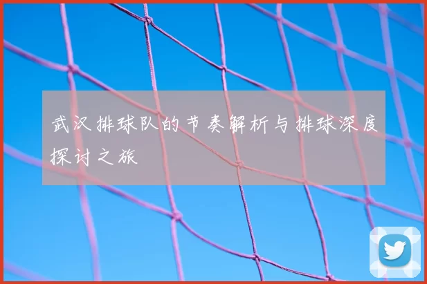 武汉排球队的节奏解析与排球深度探讨之旅
