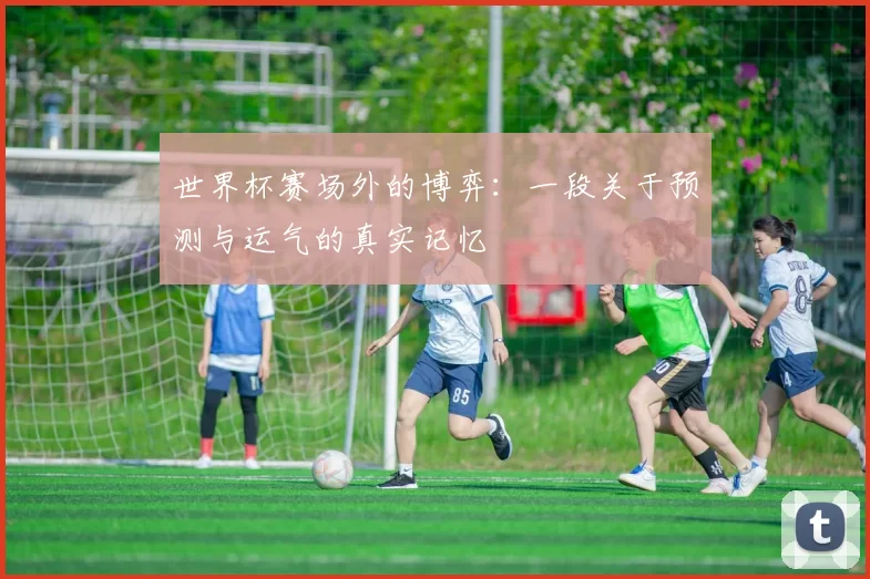 世界杯赛场外的博弈:一段关于预测与运气的真实记忆