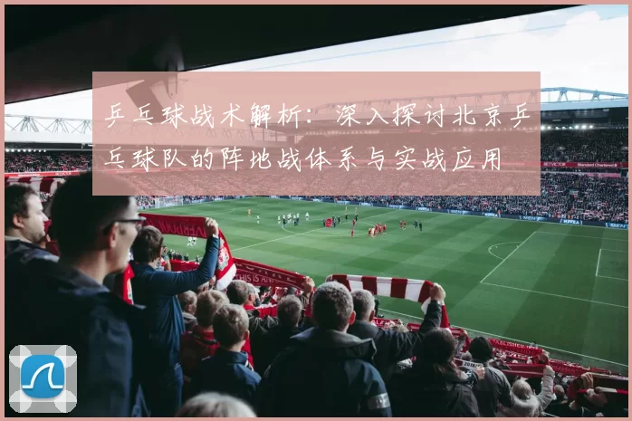 乒乓球战术解析：深入探讨北京乒乓球队的阵地战体系与实战应用