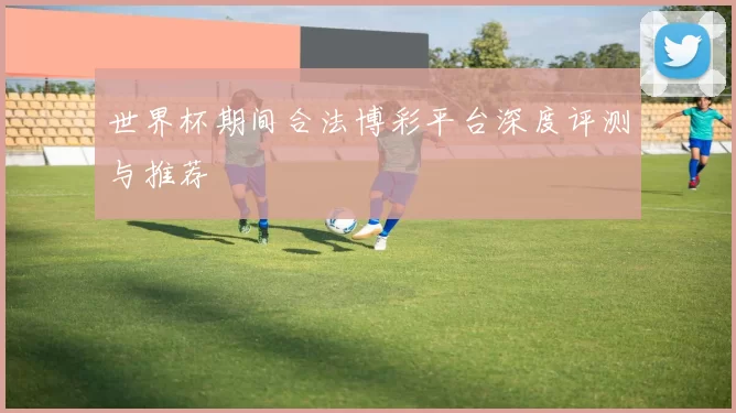 世界杯期间合法博彩平台深度评测与推荐