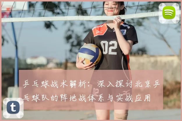 乒乓球战术解析:深入探讨北京乒乓球队的阵地战体系与实战应用