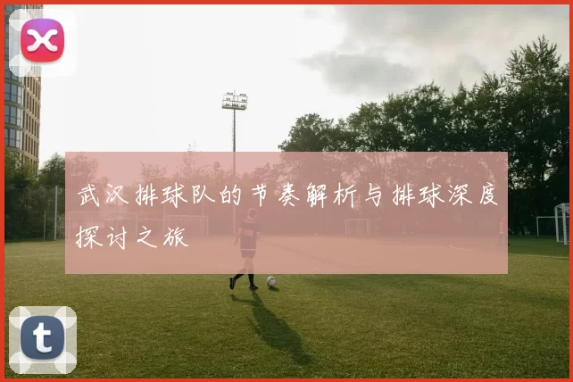 武汉排球队的节奏解析与排球深度探讨之旅