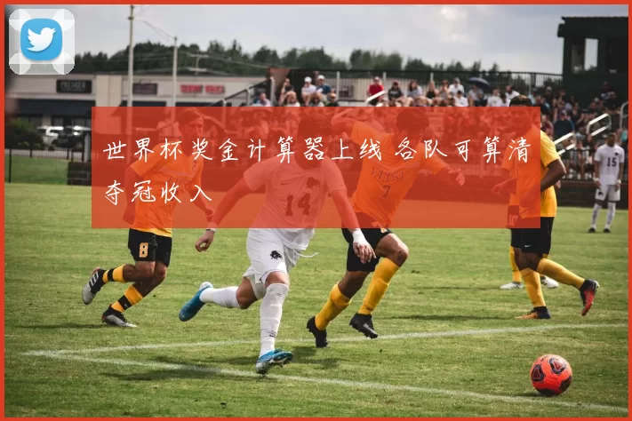 世界杯奖金计算器上线 各队可算清夺冠收入