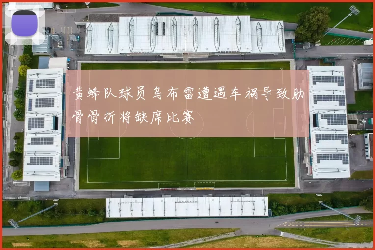 黄蜂队球员乌布雷遭遇车祸导致肋骨骨折将缺席比赛