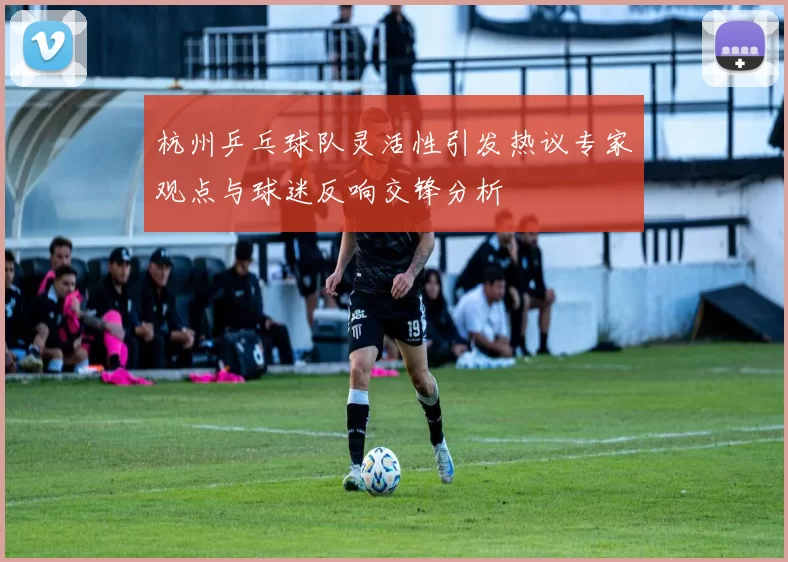 杭州乒乓球队灵活性引发热议专家观点与球迷反响交锋分析