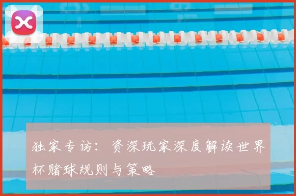 独家专访：资深玩家深度解读世界杯赌球规则与策略